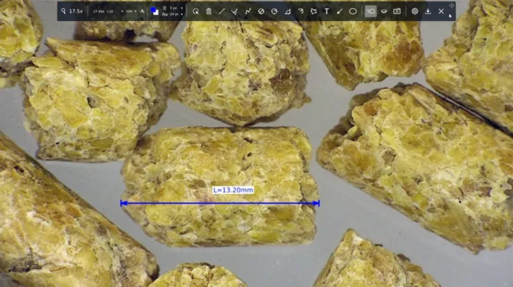 TAGARNO software for digital microscopes for measurement measuring seed in agriculture