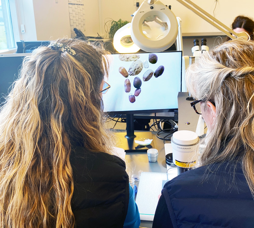 Operators from DLF analyze seed and grain using a digital camera microscope