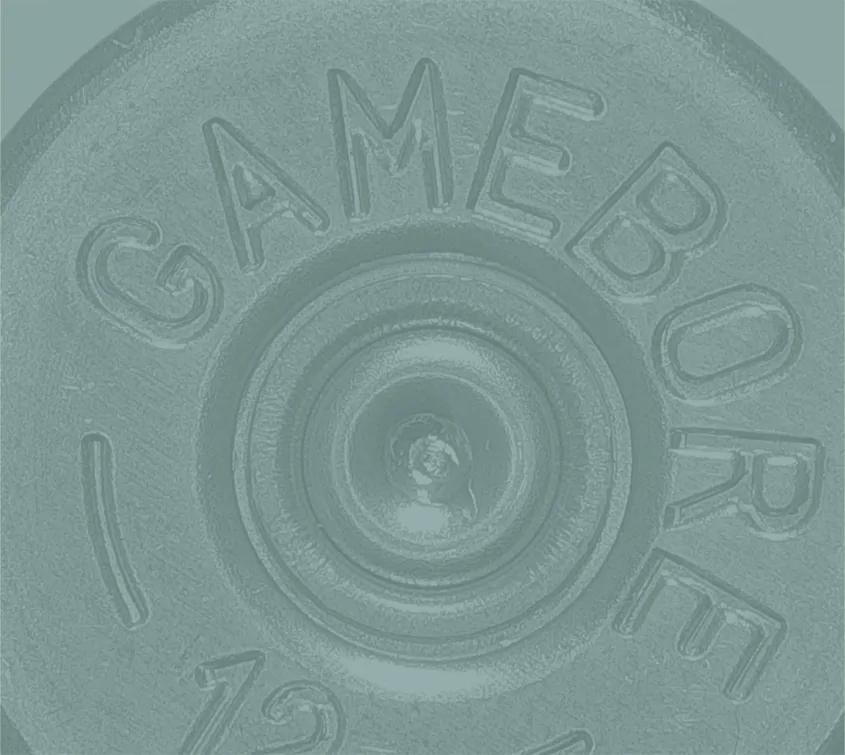 Magnified cartridge with a digital microscope