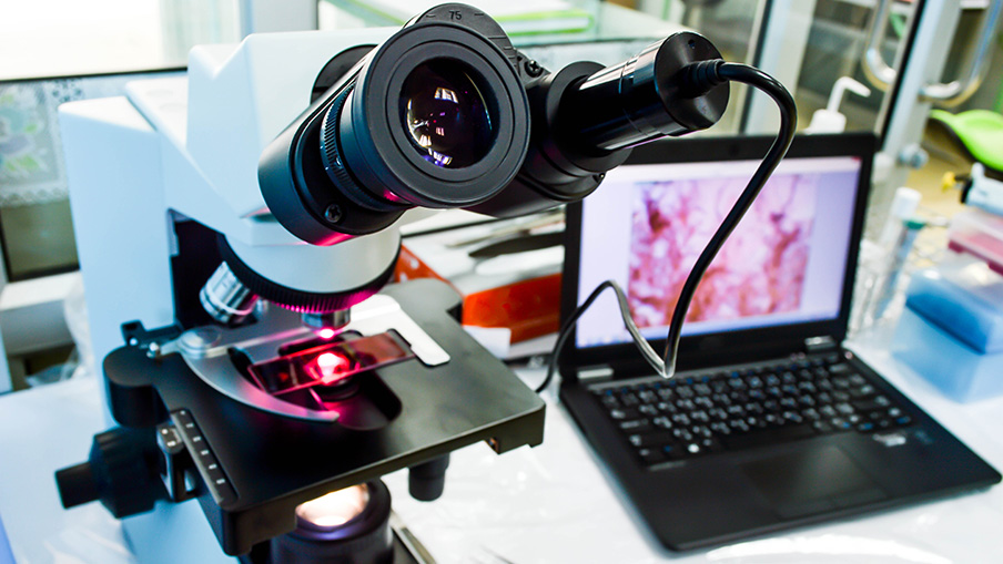 Digital imager connected to computer