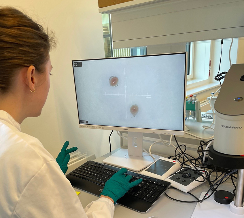 Kvinde sidder foran digitalt mikroskop og lave morfologiske målinger